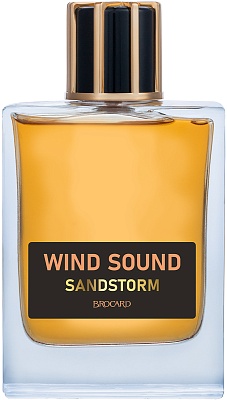 Wind Sound. Sandstorm