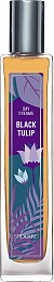 Black Tulip