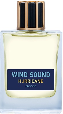 Wind Sound. Hurricane