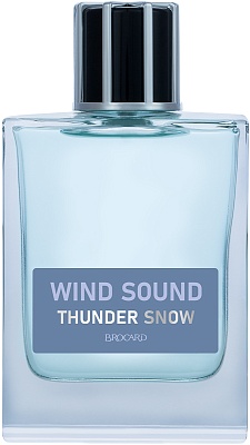 Wind Sound. Thunder snow