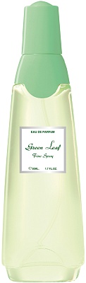 Green Leaf Ascania